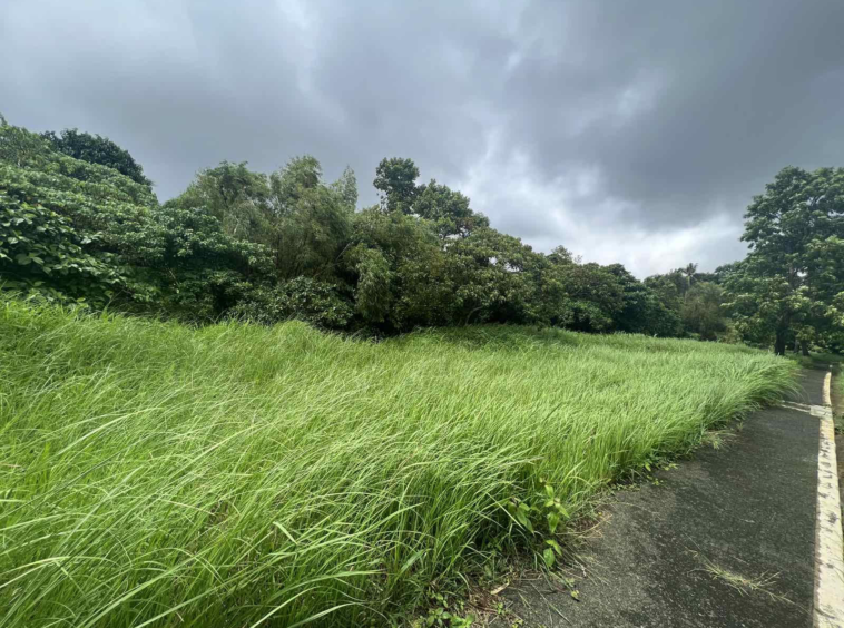 Royale Tagaytay Estates Lot For Sale Alfonso Cavite