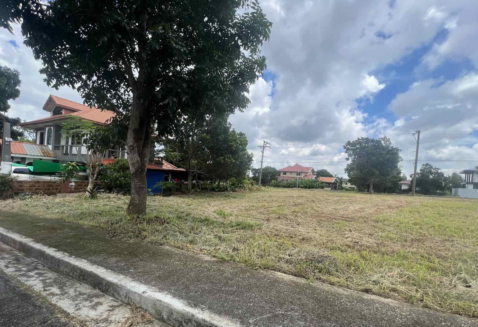 Royale Tagaytay Estates Lot For Sale Alfonso Cavite