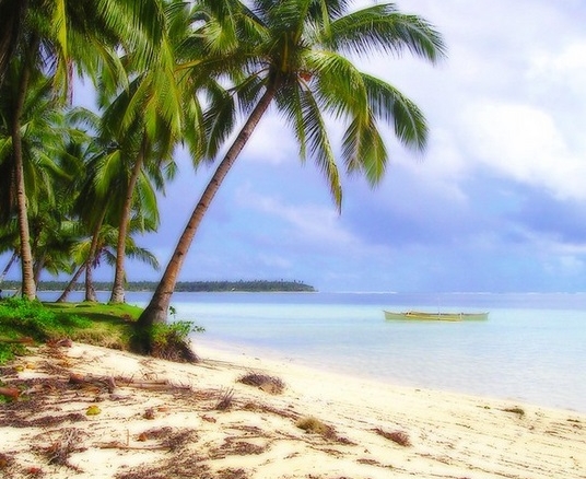 Fire sale Siargao Island Property Lot in General Luna Surigao